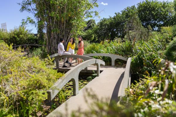 Best Photographer in Darwin